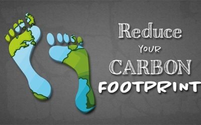 Carbon Footprint, 5 Really Simple Ways To Reduce Yours