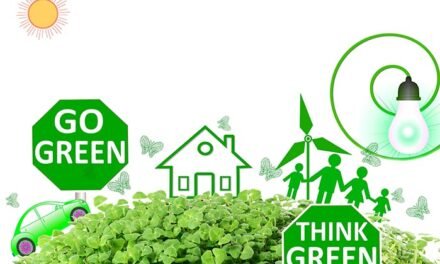 Why Green Living For Ordinary People?