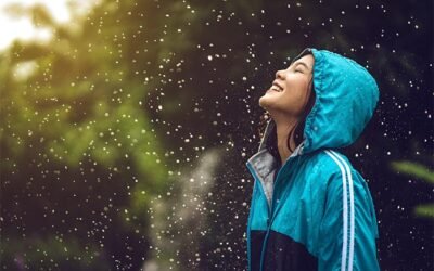 Find Your Bliss and Joy, But First Be Happy