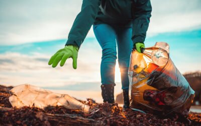 5 Environmental Myths People Believe