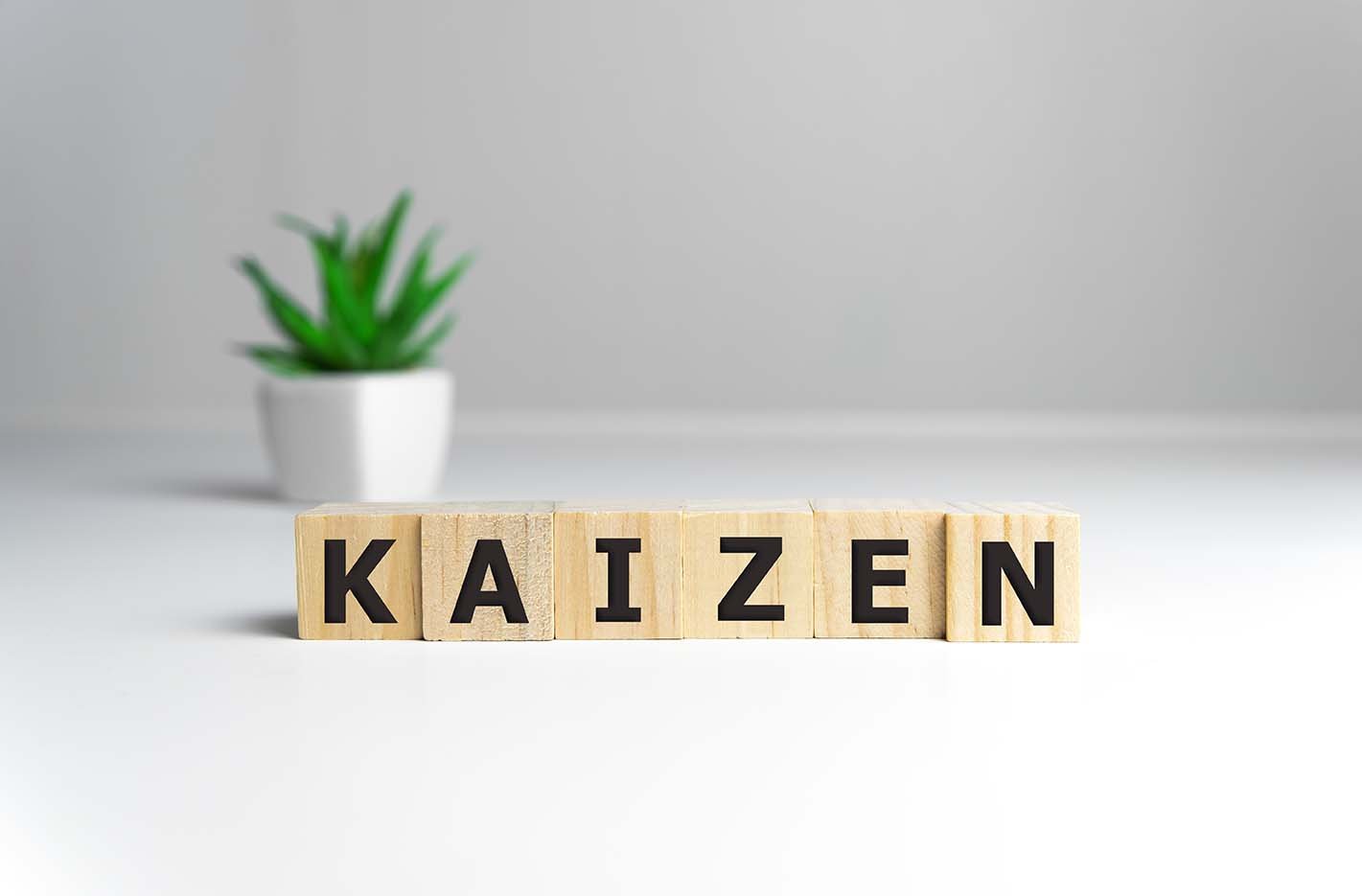 kaizen Kaizen