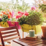 Plants, 10 Reasons To Love Them And You Should Too