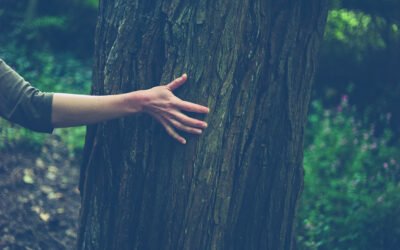 Mindfulness, How To Embrace It