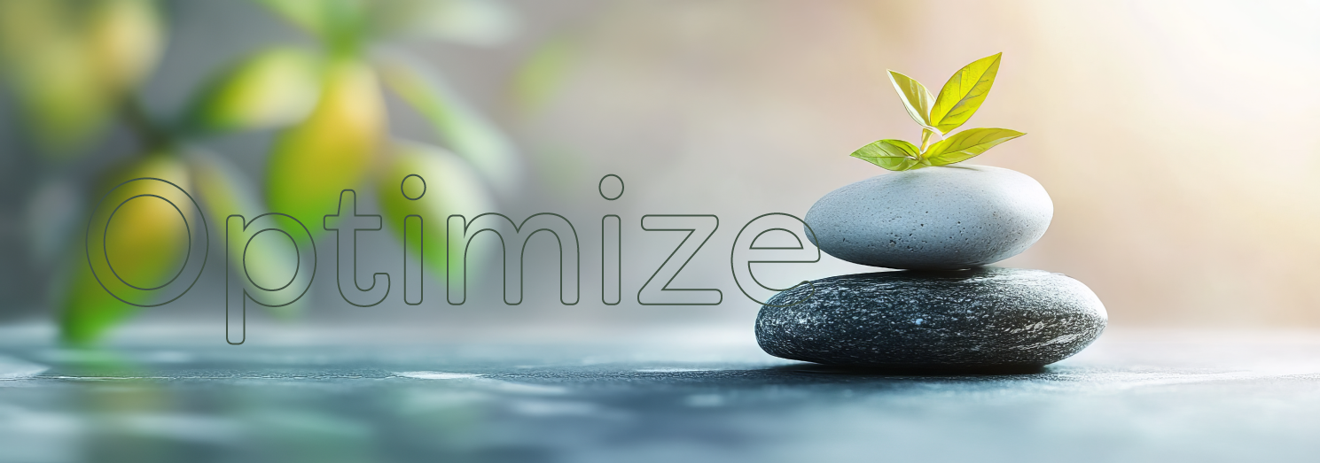 Optimize2b Fullrliving life hacks