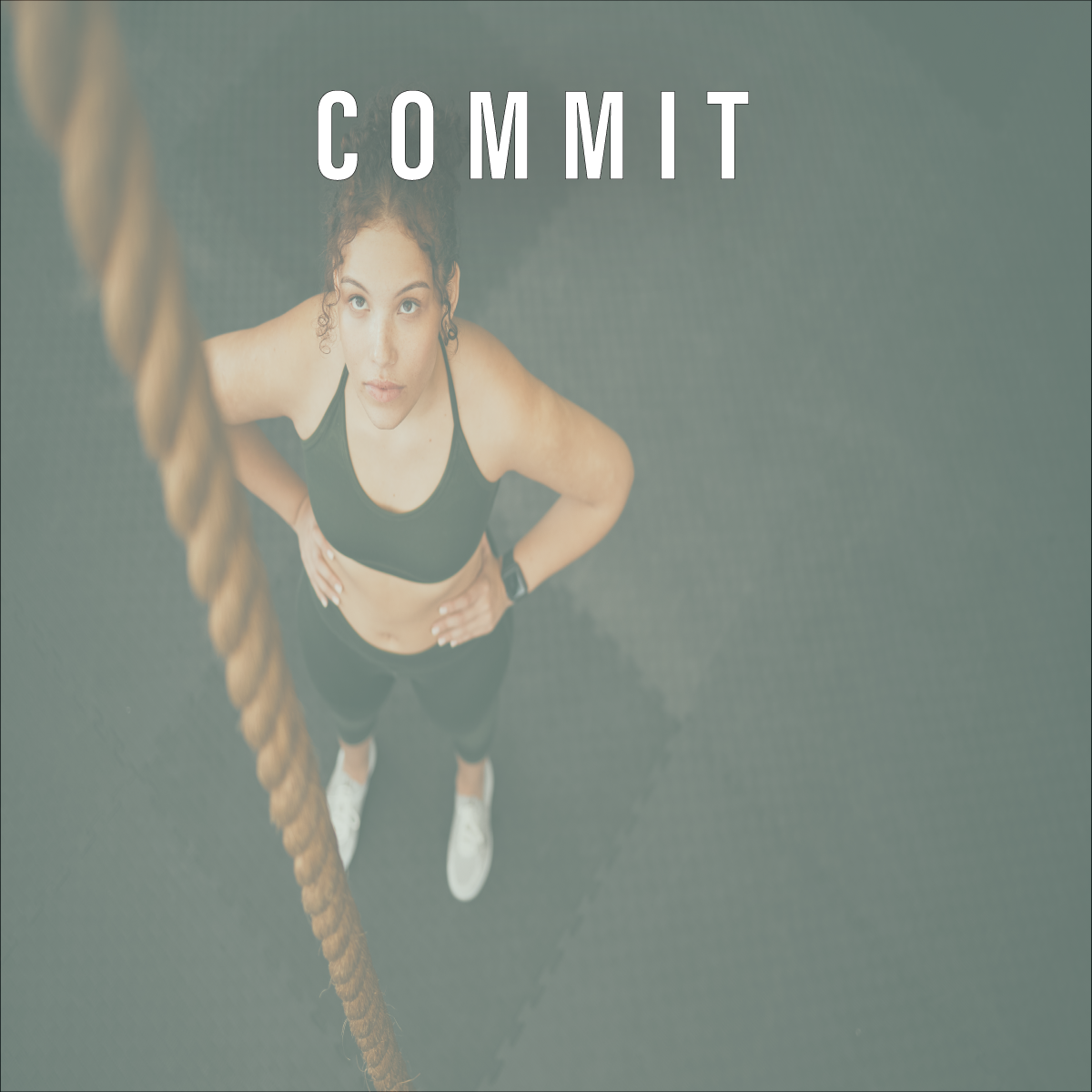 COMMIT3